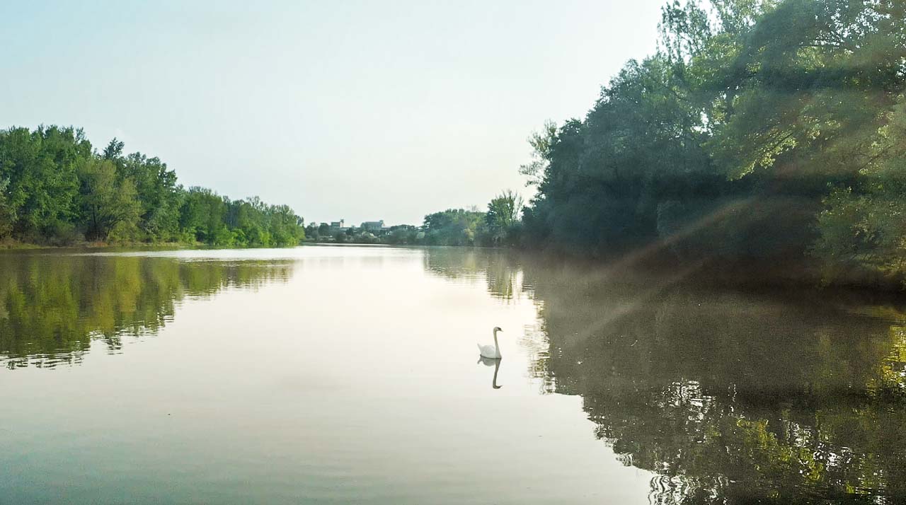 Najdlhšia rieka Váh s labuťou