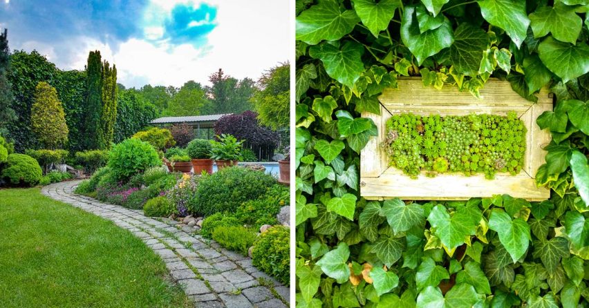 Naši čitatelia nám dokázali, že majú najkrajšie záhradky v regióne. Tieto fotky si jednoducho zamilujete