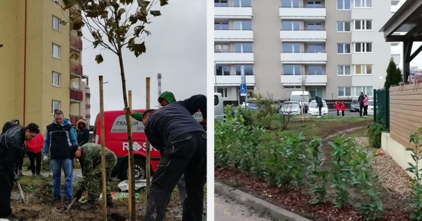 Zelené finále projektu Sereď 2.0. Susedia si spoločne vysadili stromy a skrášlili sídlisko