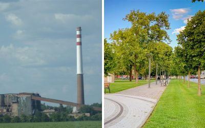 Na odbúravaní nečistôt z ovzdušia v mestách sa najviac podieľajú stromy. Je ich podľa vás v Seredi dosť?