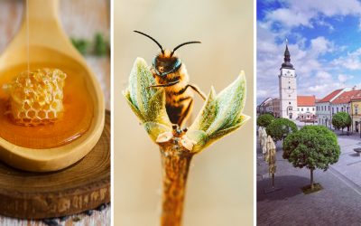 Tento unikátny Trnavský včelársky festival musíte navštíviť. V Trnave na vás čaká budúci týždeň skvelý program