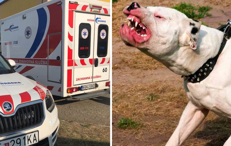Včerajší útok agresívneho psa v Seredi na staršiu ženu skončil streľbou. Nebezpečný pes bol zastrelený
