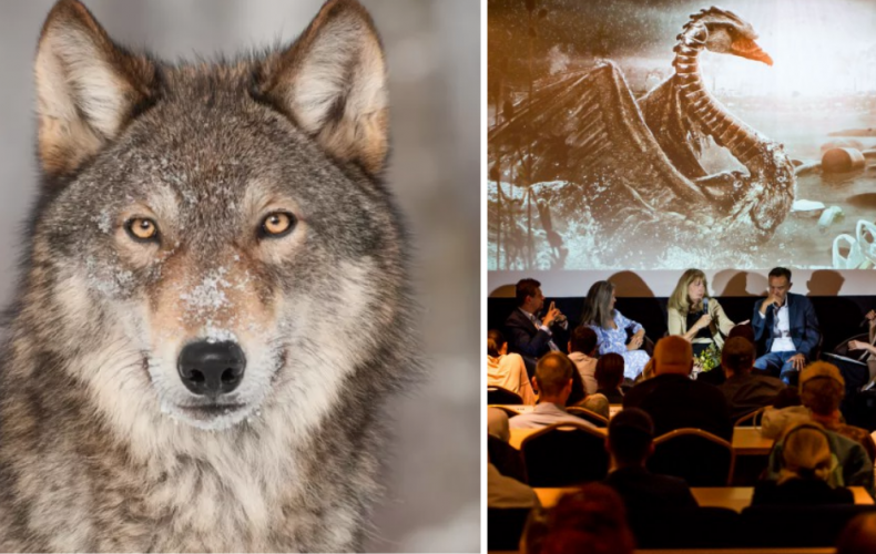 Filmový festival Ekotopfilm sa tento rok uskutoční online. Prečítajte si, aký problém sa rieši tento rok