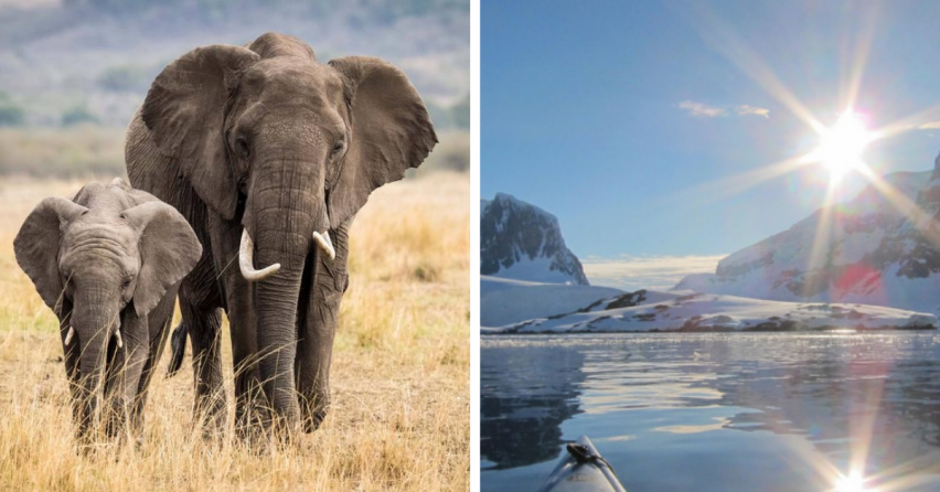 Rok 2020 nebol len negatívny. Prečítajte si o pozitívnych udalostiach, ktoré sa odohrali v celom svete