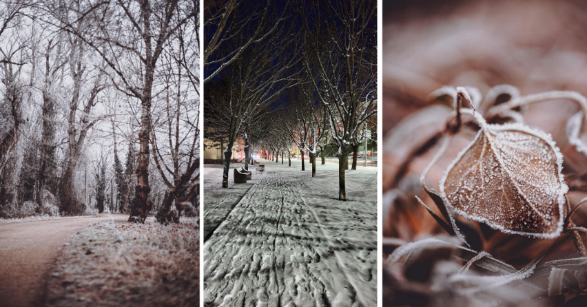 Pokochajte sa krásou zimy v podaní seredských fotografov. Naša príroda je v zime jednoducho nádherná