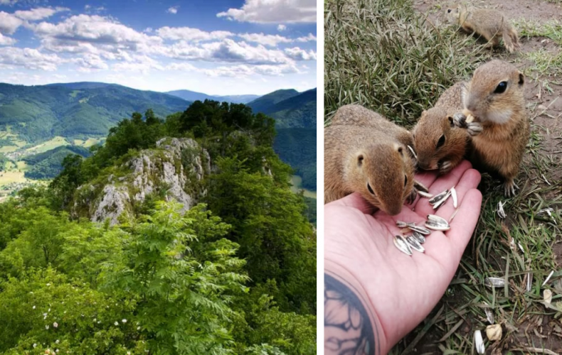 Slovensko má tretí najkrajší národný park v Európe. Viete, ktorý to je?