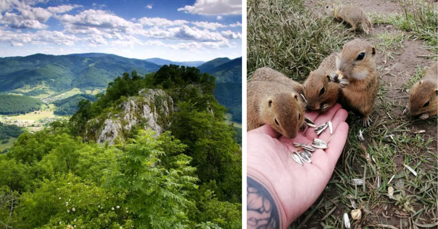 Slovensko má tretí najkrajší národný park v Európe. Viete, ktorý to je?