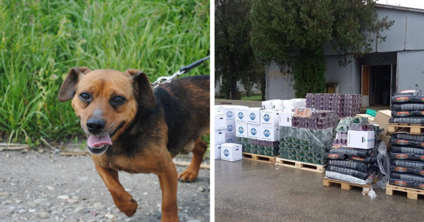 Ďakujeme dobrým ľuďom v Seredi, že pomáhajú opusteným zvieratkám. Do OZ Tulák Sereď dorazila zásielka krmiva