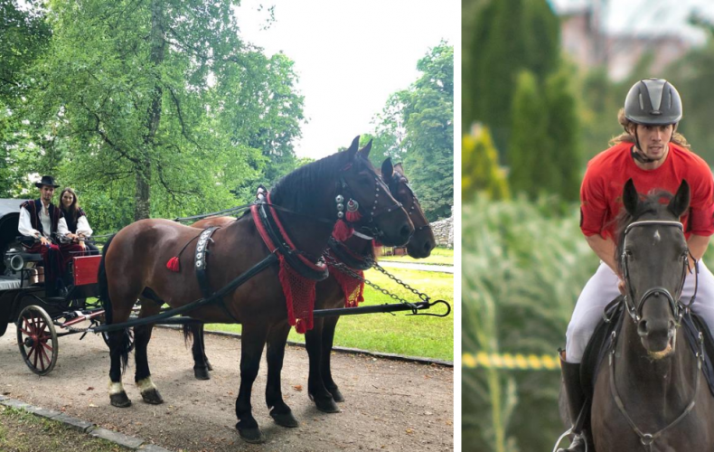 ROZHOVOR: Lukáš Šulák zo Šintavy sa venuje remeslu s koňmi, ktoré sa na Slovensku vytráca