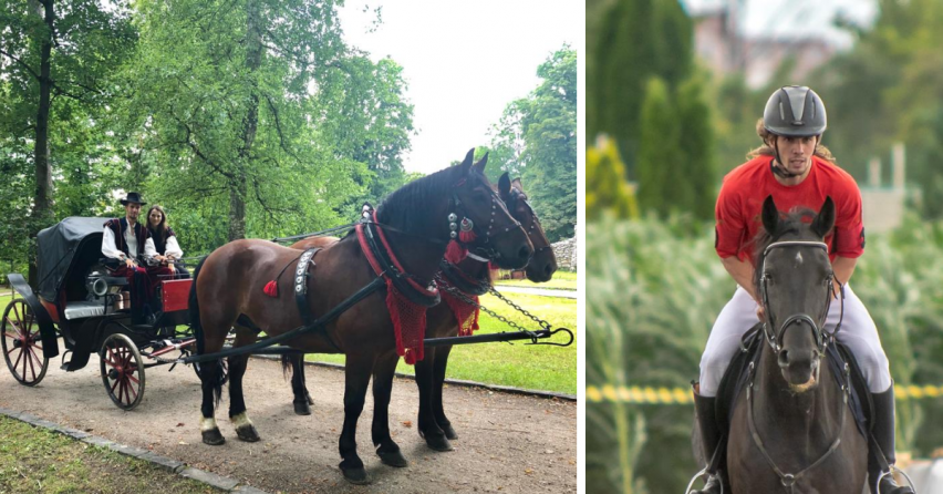 ROZHOVOR: Lukáš Šulák zo Šintavy sa venuje remeslu s koňmi, ktoré sa na Slovensku vytráca