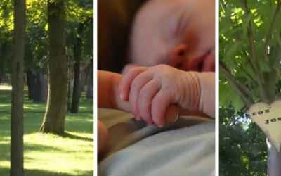 V Galante budú môcť rodičia pri narodení dieťaťa vysadiť strom života v Sade pre novorodencov