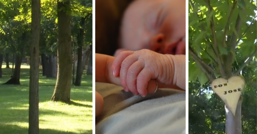 V Galante budú môcť rodičia pri narodení dieťaťa vysadiť strom života v Sade pre novorodencov