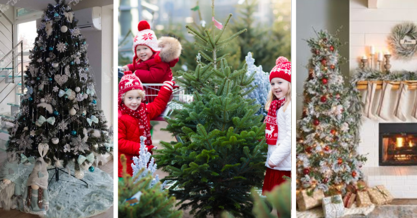 Hľadáte inšpiráciu na zdobenie vianočného stromčeka? Toto sú aktuálne trendy