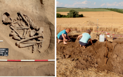 Archeologické výskumy v Seredi a okolí odhalili pozoruhodné nálezy. Kde našli pred pár rokmi kostry zo staršej doby bronzovej?