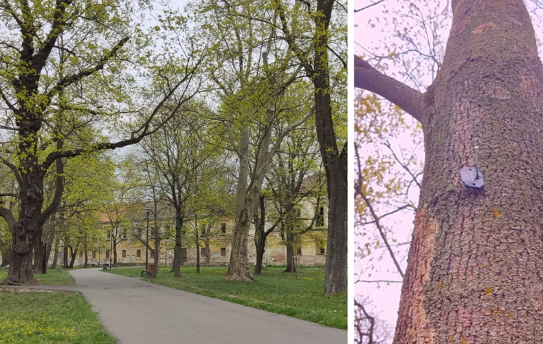Stromy v Zámockom parku dostali arboristický štítok. Náš park je jedným z mála na Slovensku, kde takéto informácie nájdete
