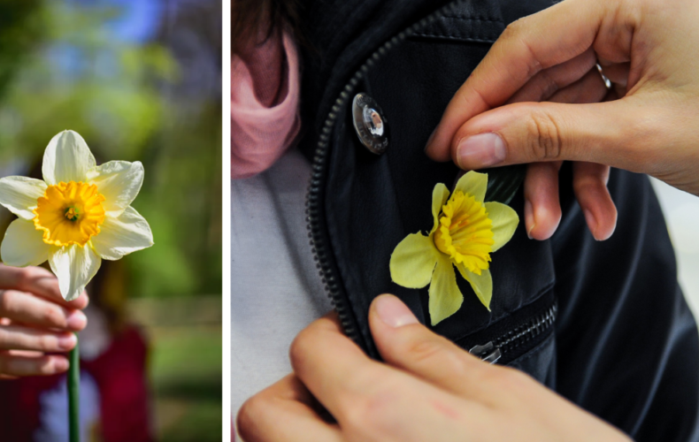 Blíži sa Deň narcisov. Žltý kvet je symbolom solidarity s onkologickými pacientmi. Pomôžme ľuďom bojujúcim s touto zákernou chorobou