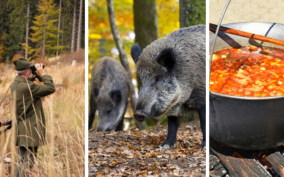 V obci Vinohrady nad Váhom sa opäť uskutočnia Poľovnícke dni. Príďte si vychutnať pečeného diviaka alebo jelení guláš