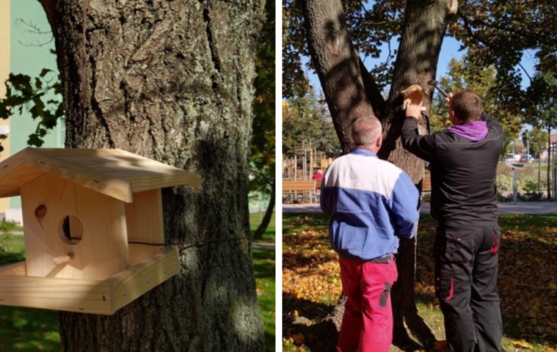 Na sídlisku D. Štúra sa zrealizoval projekt s názvom Zdravé stromy a vtáctvo vďaka podpore z Nadačného fondu Slovenských elektrární