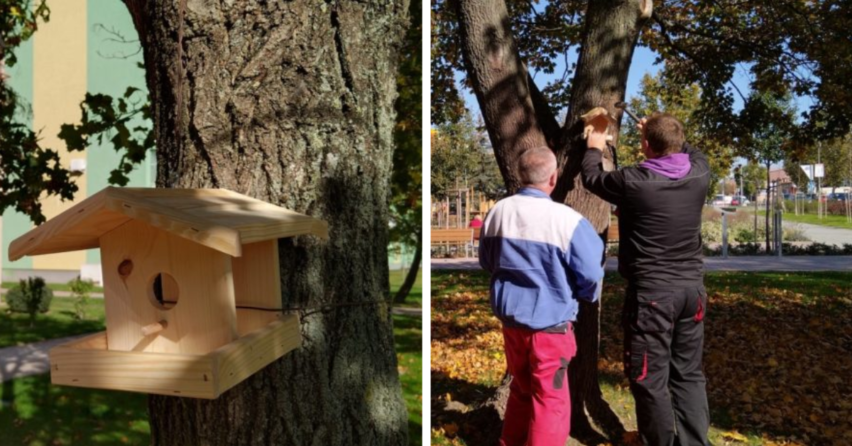 Na sídlisku D. Štúra sa zrealizoval projekt s názvom Zdravé stromy a vtáctvo vďaka podpore z Nadačného fondu Slovenských elektrární