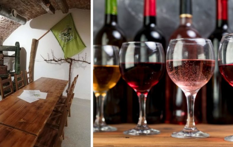 Vinohradnícky a vinársky spolok v Šintave pozýva na Katarínsku degustáciu. Milovníci všetkých druhov vín si prídu na svoje