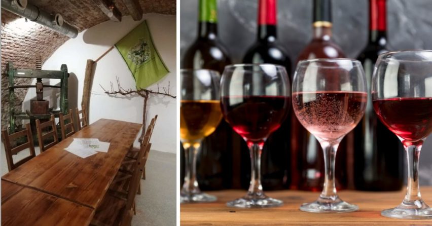 Vinohradnícky a vinársky spolok v Šintave pozýva na Katarínsku degustáciu. Milovníci všetkých druhov vín si prídu na svoje