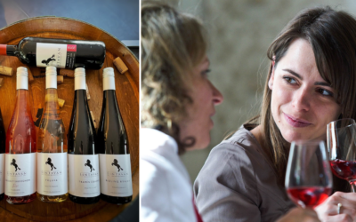 Šintavské vína ocenili na dámskej degustačnej súťaži Vienále Topolčianky. Šintavan si odniesol viacero medailí aj ocenenie Šampióna výstavy
