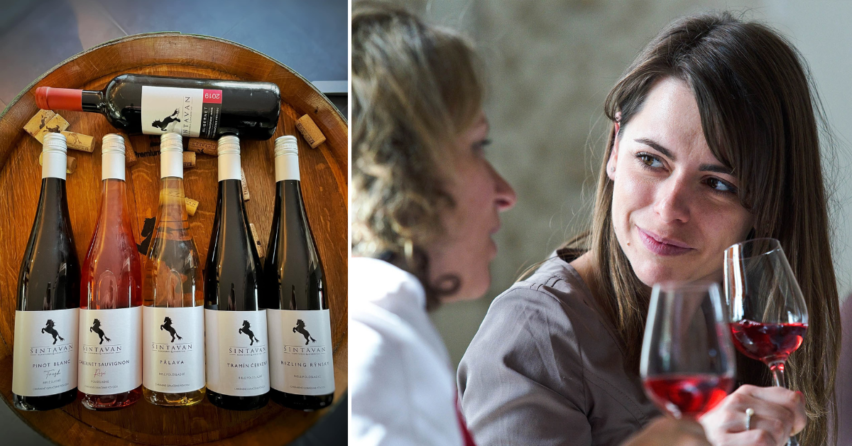 Šintavské vína ocenili na dámskej degustačnej súťaži Vienále Topolčianky. Šintavan si odniesol viacero medailí aj ocenenie Šampióna výstavy