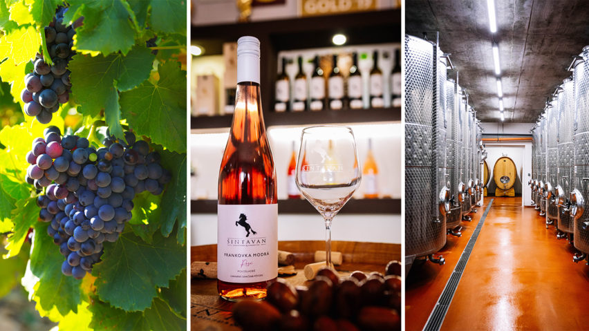 Spoznajte jedinečné vinárstvo Šintavan ako nikdy predtým. Ich ponuka vín si získava srdcia nielen zákazníkov, ale aj odbornej poroty