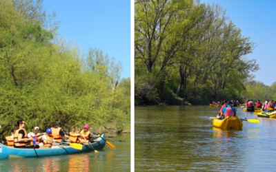 Užite si (vý)letný splav na jednej z troch riek Trnavského kraja. Po vode sa môžete vybrať na Váh, Malý Dunaj alebo Dunajské ramená