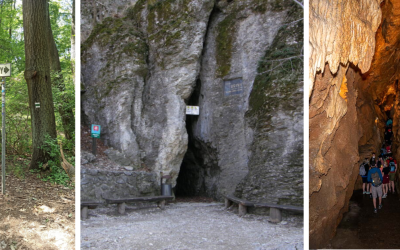 Tip na výlet: jaskyňa Driny, jediná sprístupnená jaskyňa na Západnom Slovensku, vás schladí a upúta svojou krásou
