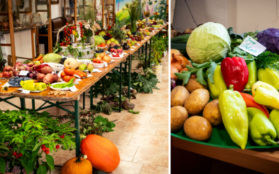 Výstava ovocia a zeleniny v Šintave potešila oko nejedného zanieteného pestovateľa. Svoje práce predviedli aj viacerí handmade výrobcovia