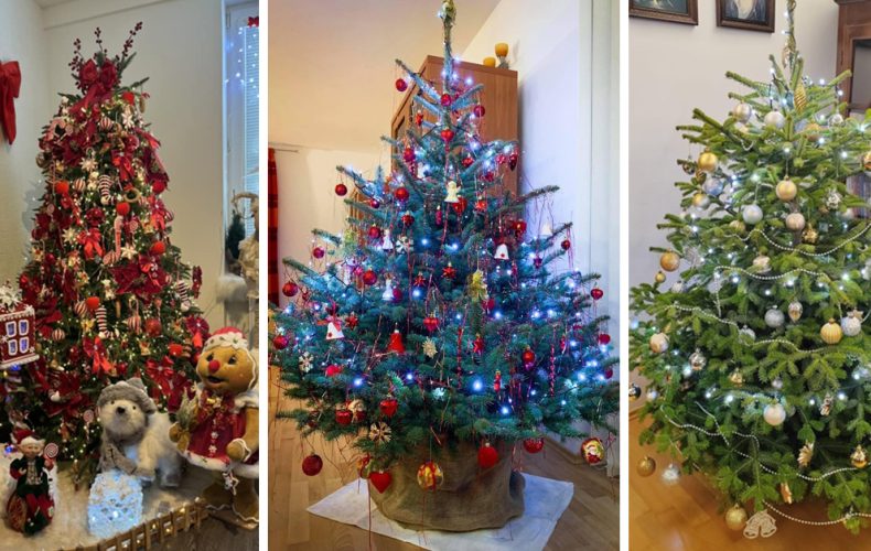 Seredčania nám ukázali krásne vianočné stromčeky. Od minimalistického po tie, siahajúce až po strop a každý je dokonalý