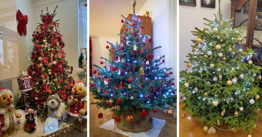 Seredčania nám ukázali krásne vianočné stromčeky. Od minimalistického po tie, siahajúce až po strop a každý je dokonalý