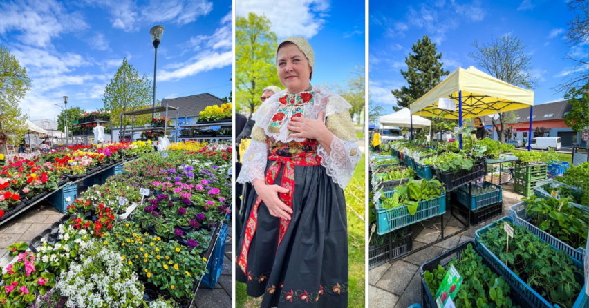 Flora Fest zaplaví námestie prekrásnymi farbami. Ak máte radi kvety, bylinky a stromy, toto podujatie nemôžete vynechať