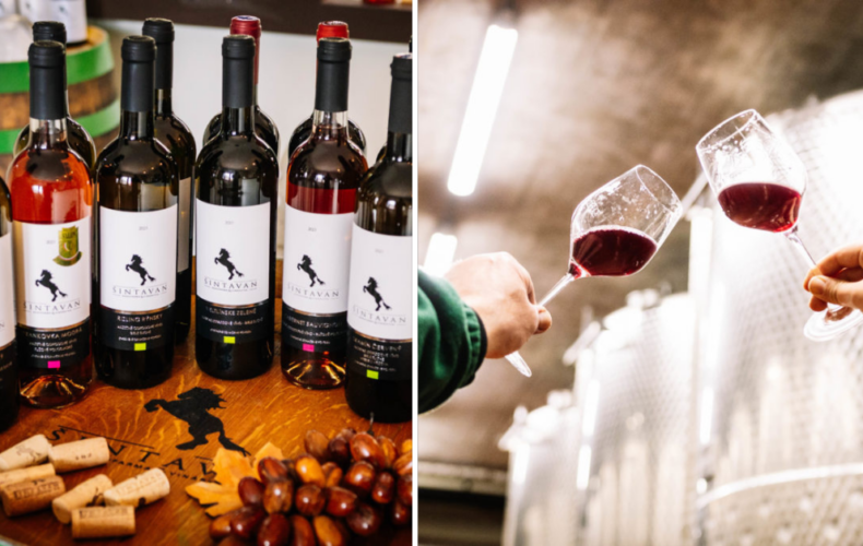 Vinárstvo Šintavan pozýva na Svätourbanskú koštovku. Ochutnajte vína jedného z najkvalitnejších vinárstiev na Slovensku