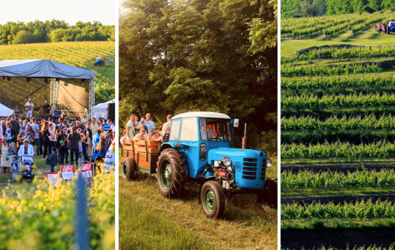 Zažite slovenské Toskánsko len pár minút od Serede. Vinárstvo BAYNACH vás pozýva na Vítanie leta vo vinici a o pár dní neskôr na skvelé divadelné predstavenie s úžasnými hercami