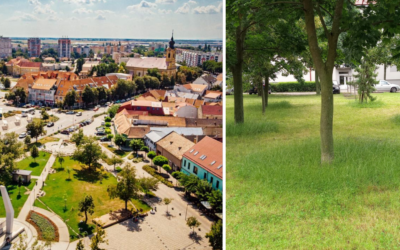 Mesto Sereď bojuje so suchom a vysokou trávou novou metódou. Mozaikové kosenie pomôže zadržať vlhkosť aj ochráni kmene stromov