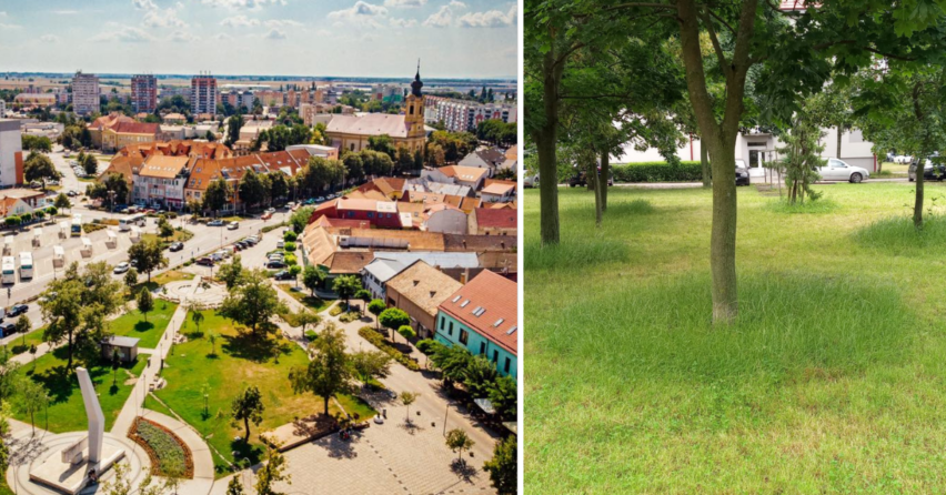 Mesto Sereď bojuje so suchom a vysokou trávou novou metódou. Mozaikové kosenie pomôže zadržať vlhkosť aj ochráni kmene stromov