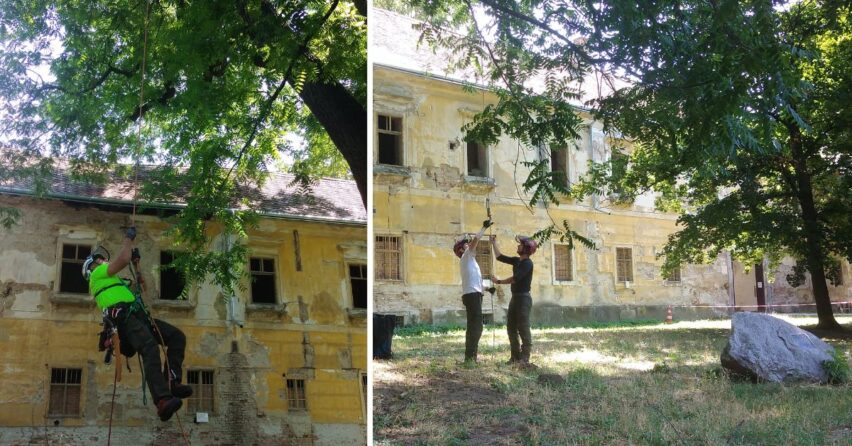 Stromolezci zaplnia Zámocký park v Seredi. Tento víkend sa ponesie v súťažnej nálade Majstrovstiev Slovenska arboristov–stromolezcov