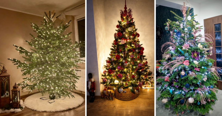 Seredčania ukázali stromčeky, ktoré rozžiarili ich domovy počas Vianoc