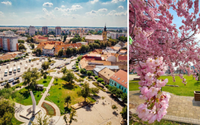 Spravme spolu Sereď zelenšiu. Mesto vyzýva obyvateľov, aby pomohli skrášliť svoje okolie