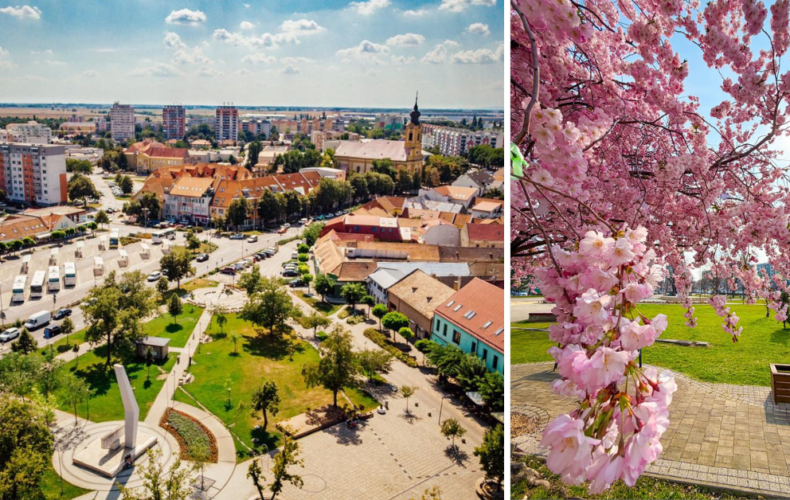 Spravme spolu Sereď zelenšiu. Mesto vyzýva obyvateľov, aby pomohli skrášliť svoje okolie