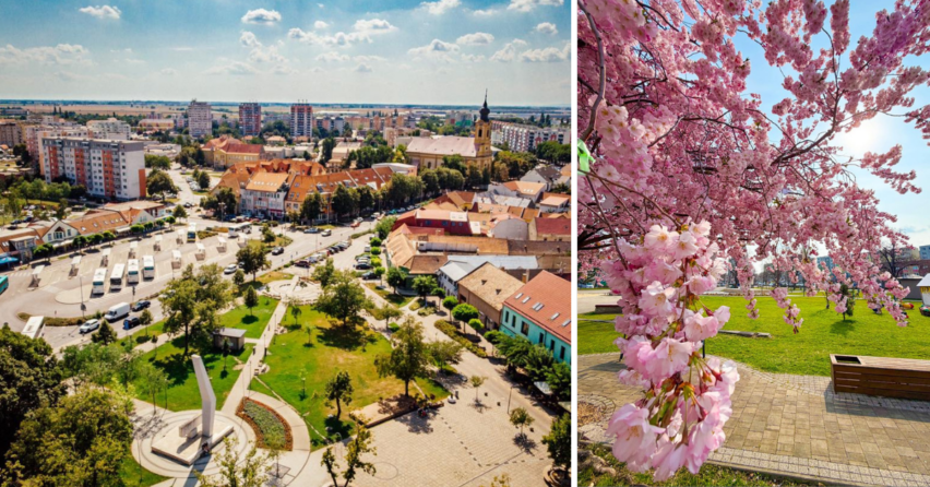 Spravme spolu Sereď zelenšiu. Mesto vyzýva obyvateľov, aby pomohli skrášliť svoje okolie