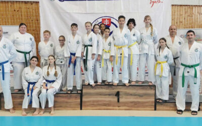 Seredskí taekwondisti z klubu TKD Sereď zažiarili na Slovenskom pohári v Šuranoch. Domov si odniesli zlaté, strieborné aj bronzové medaily